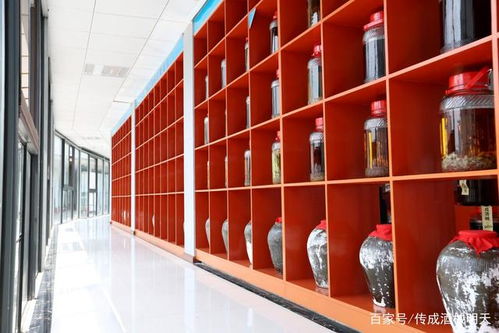 傳成酒械 來(lái)告訴你發(fā)酵時(shí)需要注意哪些